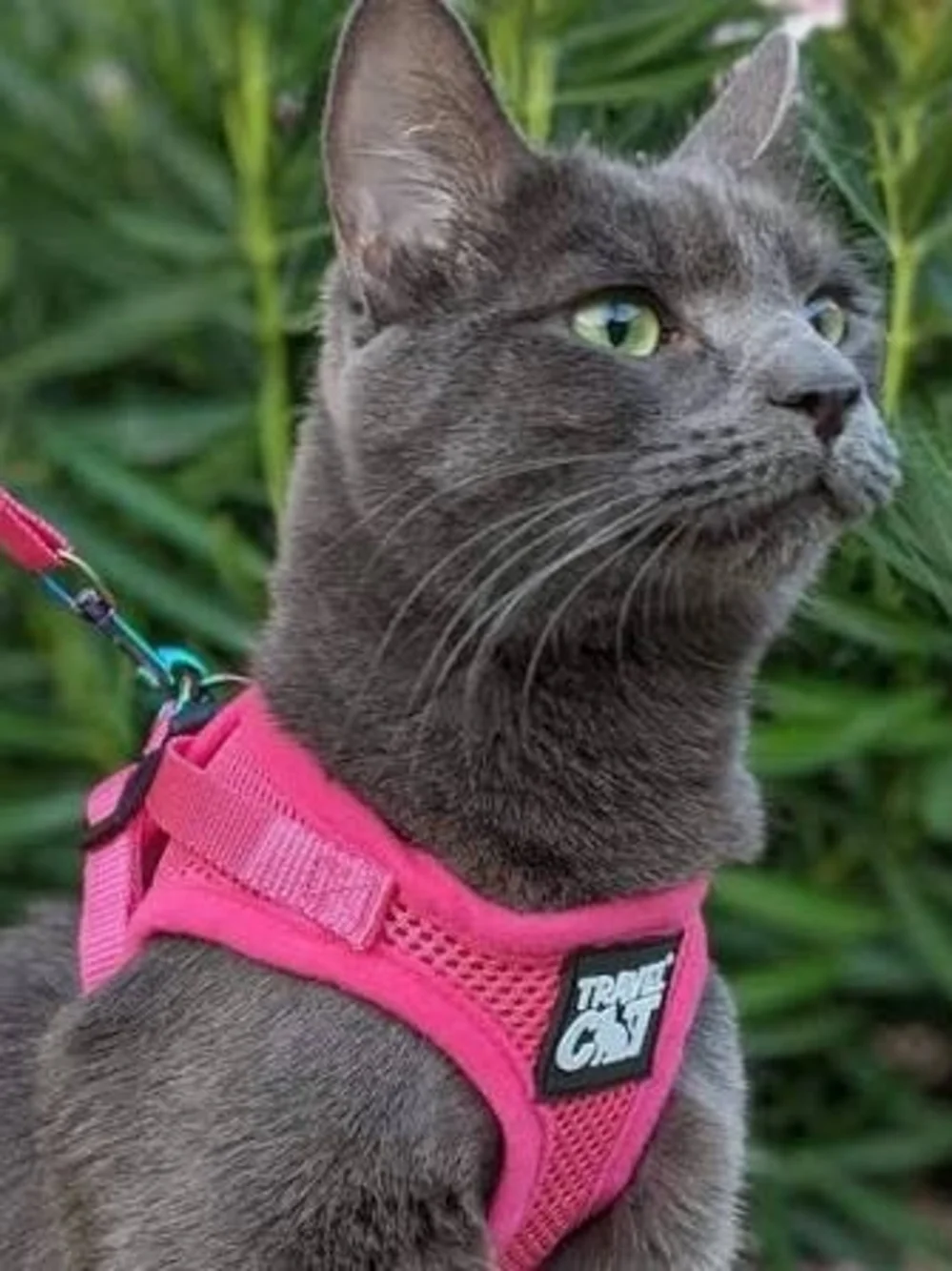 2 NWT Red and Gray Cat Harness & Leash Set Duo (XS & SMALL)